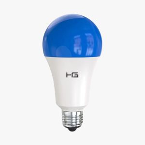 Color Light Blue